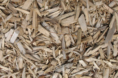 biomass boilers Crovie